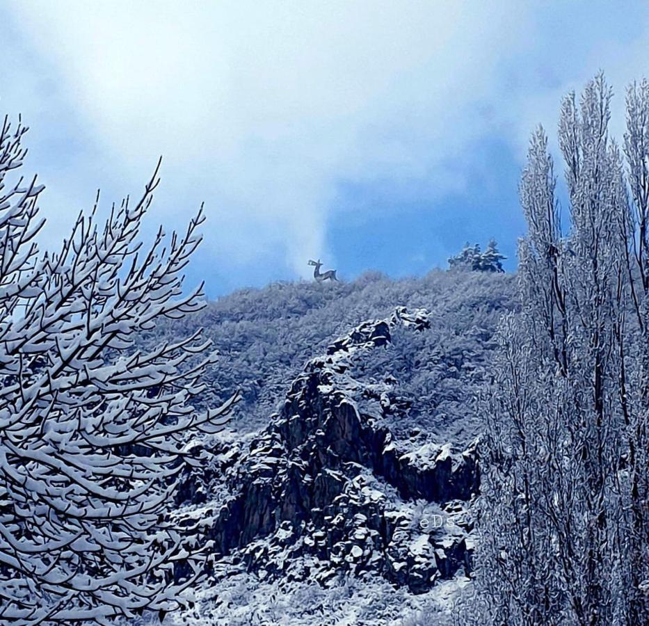 Hasi Hotel Jermuk Exterior foto